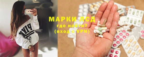 сатива Абинск
