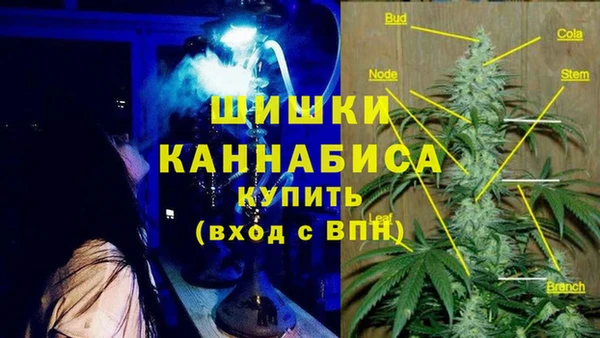 сатива Абинск