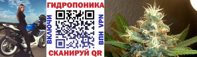 Марихуана марихуана  Нолинск 